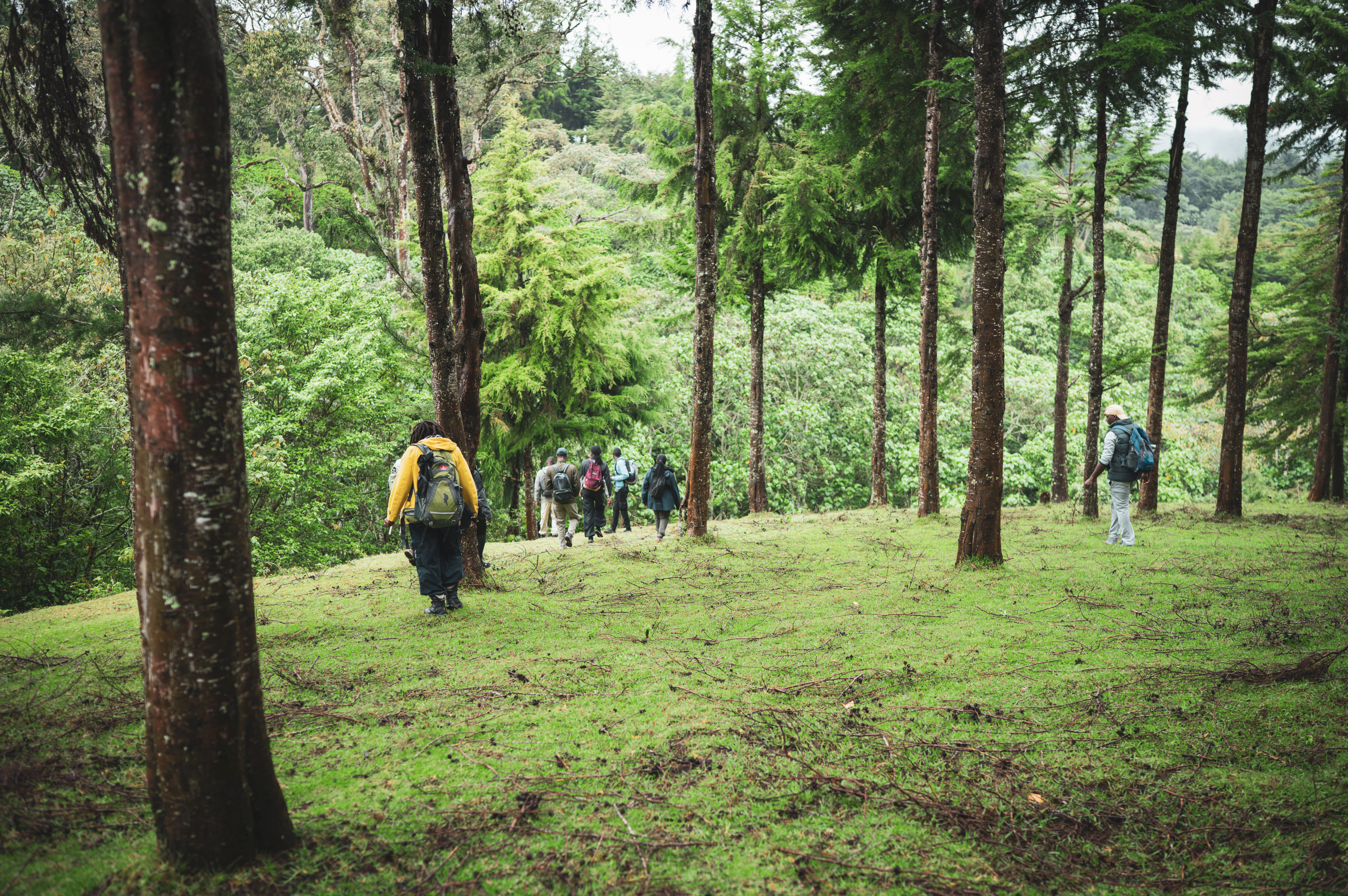 Adventure Safari