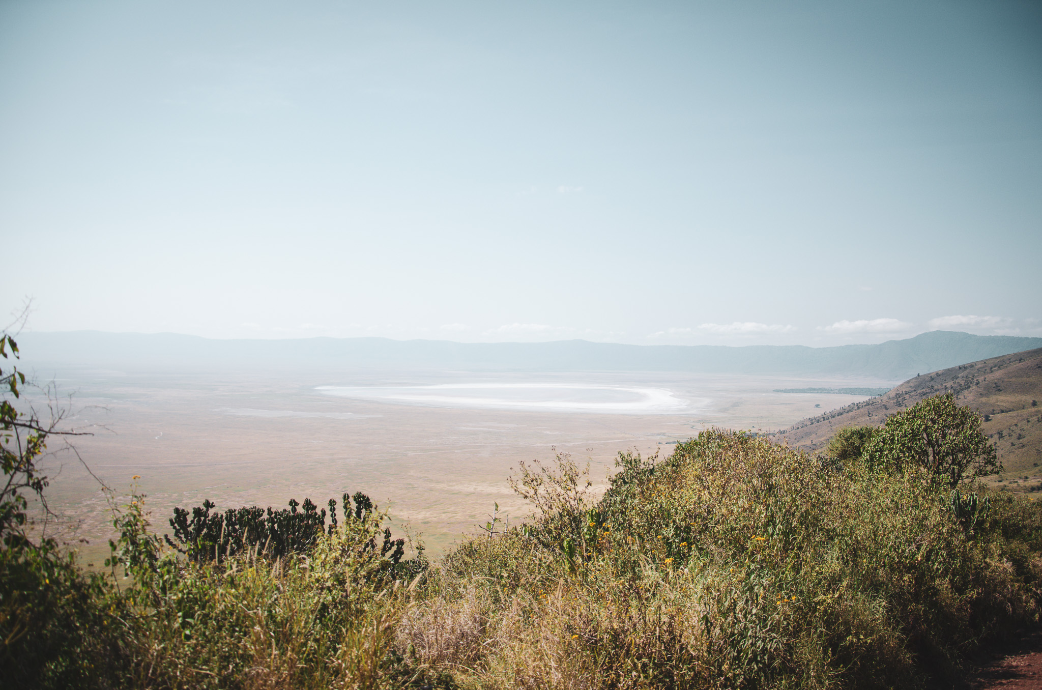 Tailor Made Safari